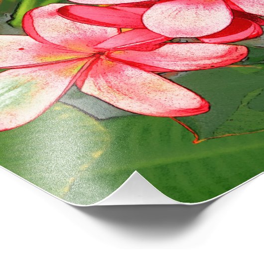 Plumeria Fotodruck (Ecke)