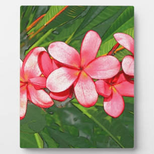 Plumeria Fotoplatte