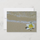 Plumeria Frangipani auf Sand Wedding RSVP Cards (Rückseite)