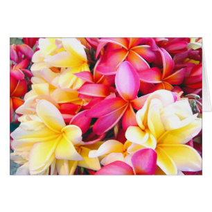 Plumeria Frangipani Floral Foto Digitales Gemälde