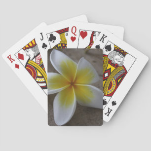 Plumeria - Frangipani Floral Fotograf Spielkarten