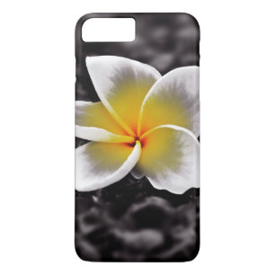 Plumeria Frangipani Hawaii Blume Case-Mate iPhone Hülle