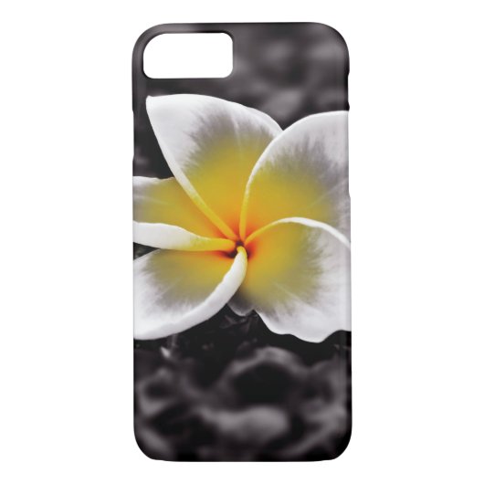 Plumeria Frangipani Hawaii Blume Case-Mate iPhone Hülle (Rückseite)