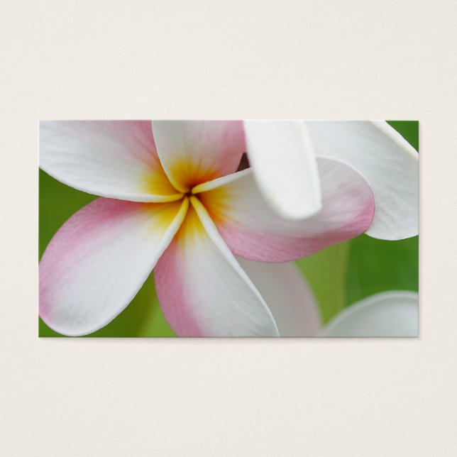 Plumeria Frangipani Hawaii Blume Maßgeschneiderte  (Vorderseite)