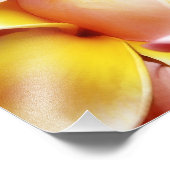 Plumeria Frangipani Hawaii Blume Maßgeschneiderte  Fotodruck (Ecke)