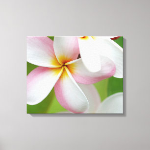 Plumeria Frangipani Hawaii Blume Maßgeschneiderte Leinwanddruck