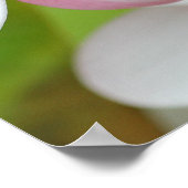 Plumeria Frangipani Hawaii Blume Maßgeschneiderte  Poster (Ecke)