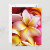 Plumeria Frangipani Hawaii Blume Maßgeschneiderte  Postkarte (Vorne/Hinten)