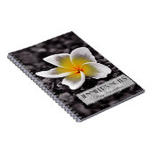 Plumeria Frangipani Hawaii Blume Notizblock (Rechte Seite)