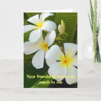 Plumeria-Freundschafts-Gedicht