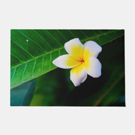 Plumeria Fußmatte (Vorderseite)