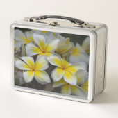 Plumeria, gelbe Blumenfotografie Metall Brotdose (Vorderseite)