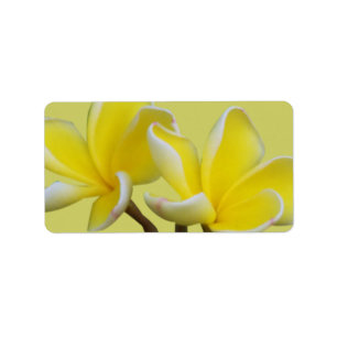 Plumeria-Geschäftsadresse/Versandkennzeichen Adressaufkleber