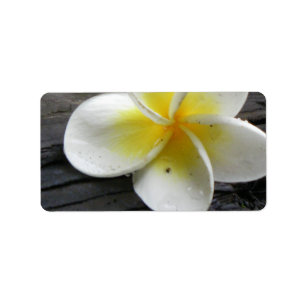 Plumeria-Geschäftsadresse/Versandkennzeichen Adressaufkleber