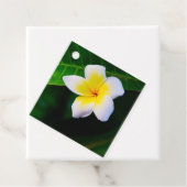 Plumeria Geschenkanhänger (Beispiel)