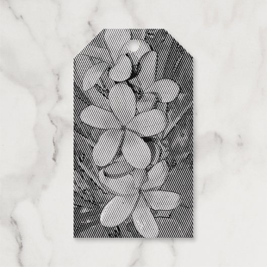 Plumeria Geschenkanhänger (Rückseite)
