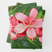 Plumeria Geschenkpapier Set (Beispiel)