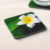 Plumeria Getränkeuntersetzer (Linke Seite)
