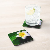 Plumeria Getränkeuntersetzer (Rechte Seite)