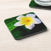 Plumeria Getränkeuntersetzer (Linke Seite)