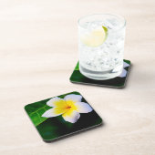 Plumeria Getränkeuntersetzer (Rechte Seite)