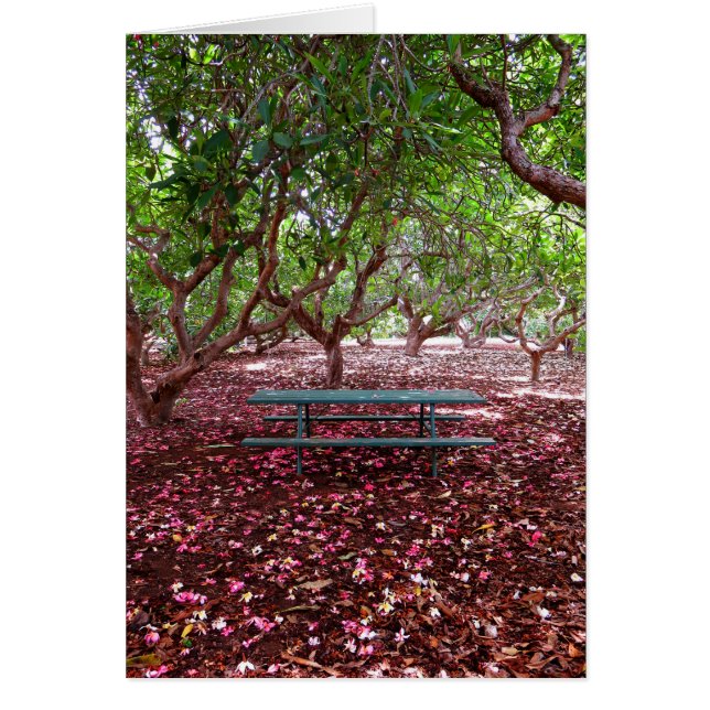 Plumeria Grove (Vorne)