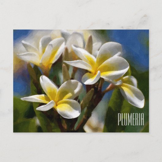 Plumeria Horizontal Postcard Postkarte (Vorderseite)