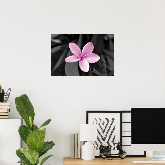 Plumeria in Bloom Poster (Heimbüro)