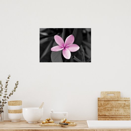 Plumeria in Bloom Poster (Küche)