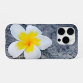 Plumeria iPhone Hülle (Rückseite (Horizontal))