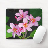 Plumeria Jungfrau Gorda am bitteres Mousepad (Mit Mouse)