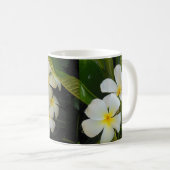 Plumeria Kaffeetasse (VorderseiteRechts)