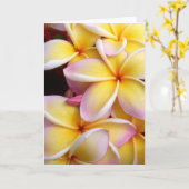 Plumeria Karte (Gelbe Blume)
