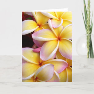 Plumeria Karte