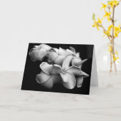 Plumeria-Karte Karte (Gelbe Blume)