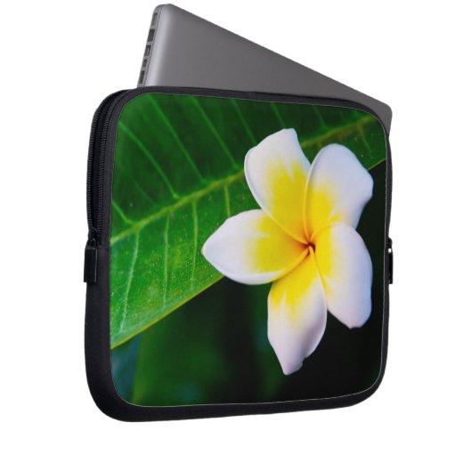 Plumeria Laptopschutzhülle (Vorne Rechts)