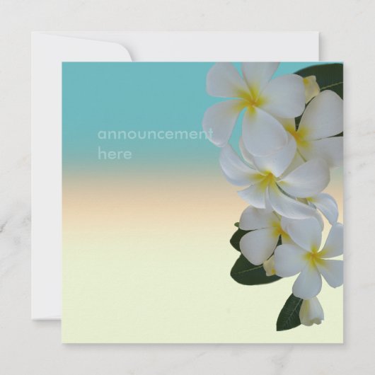 Plumeria Lei - Ankündigung des tropischen Fotos (Rückseite)