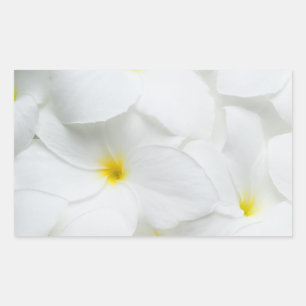 Plumeria Lei Blume Personalisierte hawaiianische B Rechteckiger Aufkleber