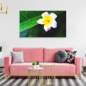 Plumeria Leinwanddruck (Insitu (Wohnzimmer))