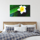 Plumeria Leinwanddruck (Insitu (Schlafzimmer))