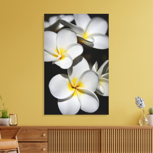 Plumeria Leinwanddruck (Insitu (Wohnzimmer))