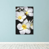 Plumeria Leinwanddruck (Insitu (Holzboden))