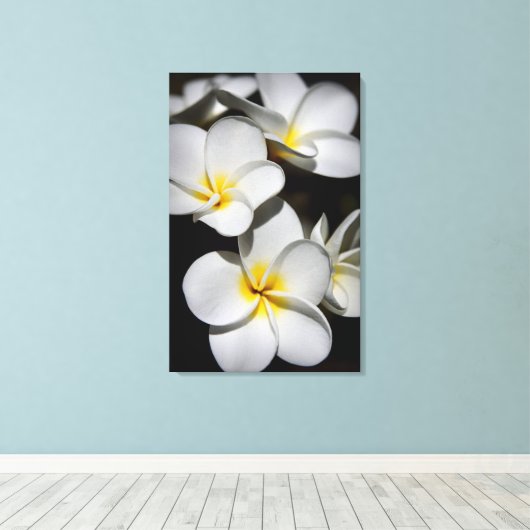 Plumeria Leinwanddruck (Insitu (Holzboden))