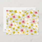 Plumeria Liebe Postkarte (Vorne/Hinten)
