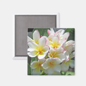 Plumeria Magnet (Vorderseite/Rückseite)