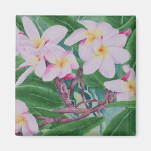 Plumeria-Magnet Magnet