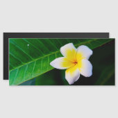 Plumeria Magneteinladung (Vorne/Hinten)