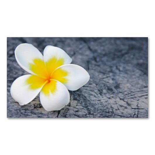 Plumeria Magnetische Visitenkarte (Vorderseite)