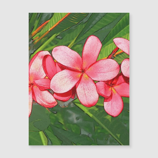 Plumeria Magnetkarte (Vorderseite)