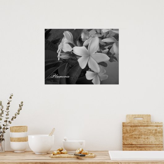 Plumeria - Maßgeschneidert Poster (Küche)